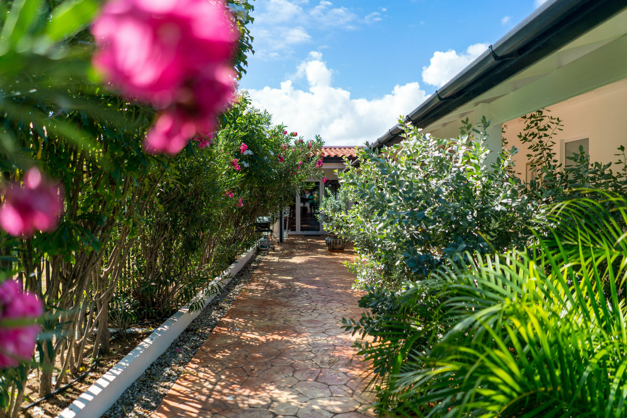 Cas Elizabeth Palm Beach Exterior foto